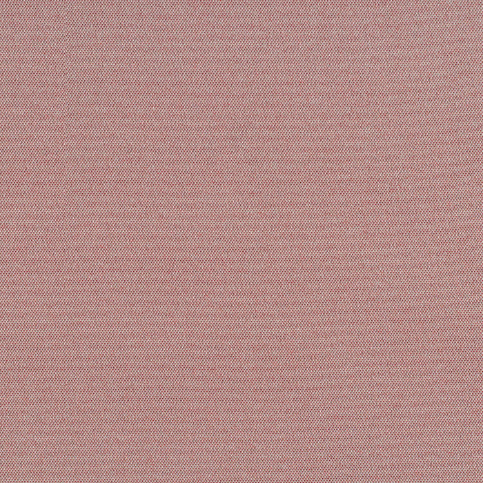 Cult Classic - Pink Flamingos - 1031 - 07