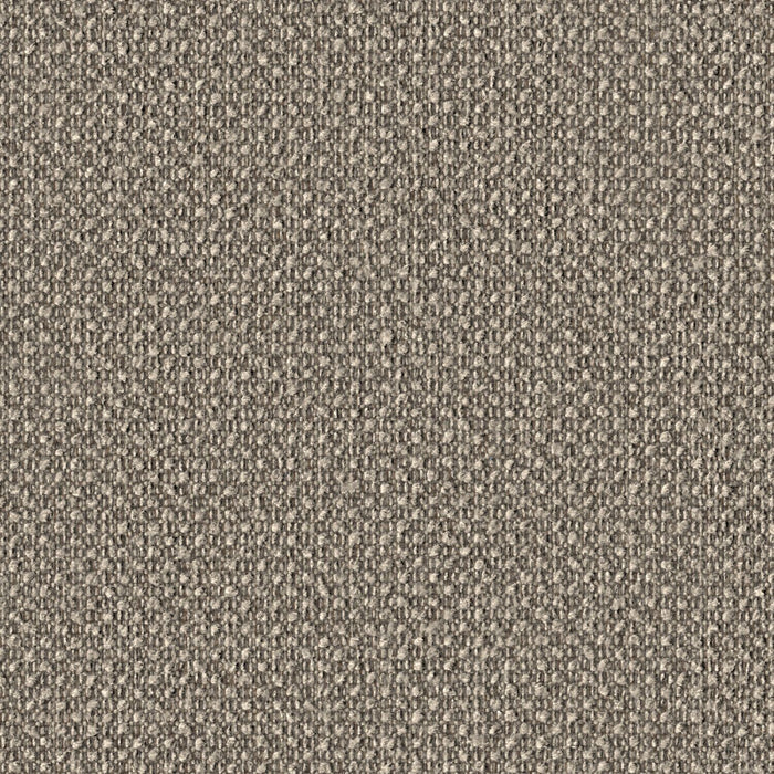 Surface Level - Seedpod - 2011 - 06 - Half Yard