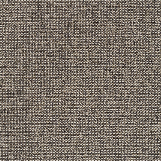Adage - Halite - 4069 - 08