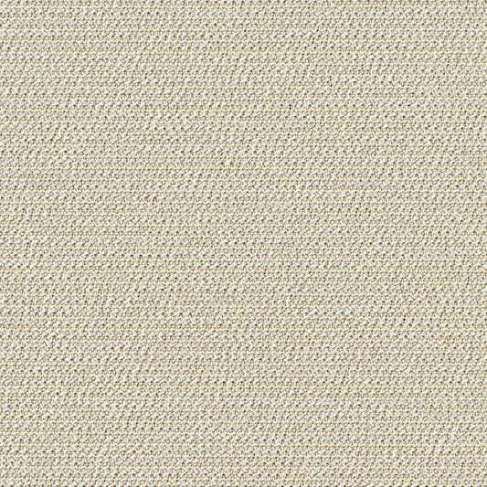 Bandeau - Hemp - 1022 - 02 - Half Yard