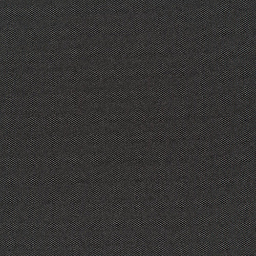 Cult Classic - Black Lagoon - 1031 - 02
