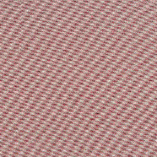 Cult Classic - Pink Flamingos - 1031 - 07