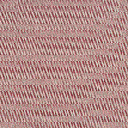 Cult Classic - Pink Flamingos - 1031 - 07