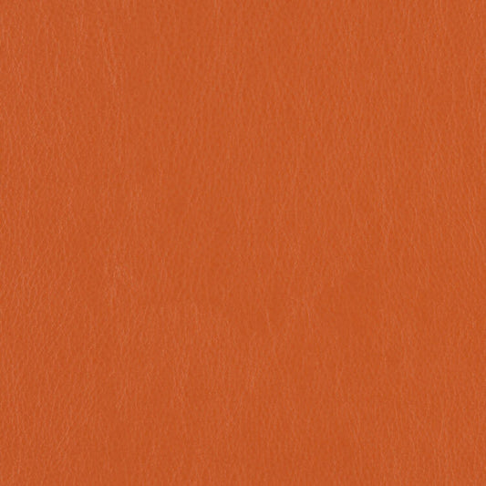 Decoy - Cahoots - 4087 - 23