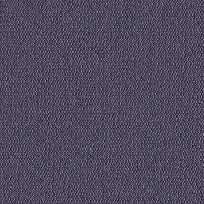 Demi Boucle - Crocus - 2005 - 09