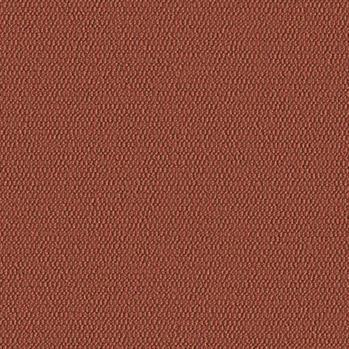 Demi Boucle - Desert Peach - 2005 - 11 - Half Yard