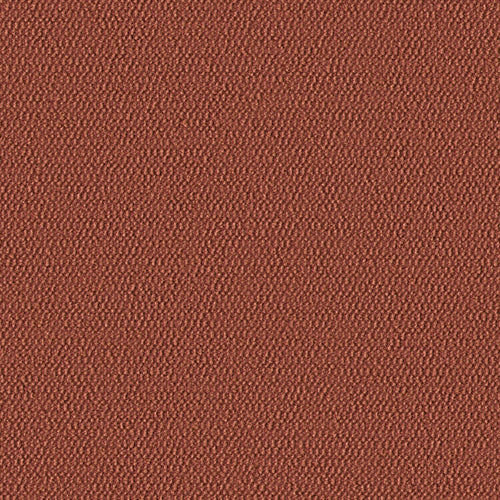 Demi Boucle - Desert Peach - 2005 - 11 - Half Yard
