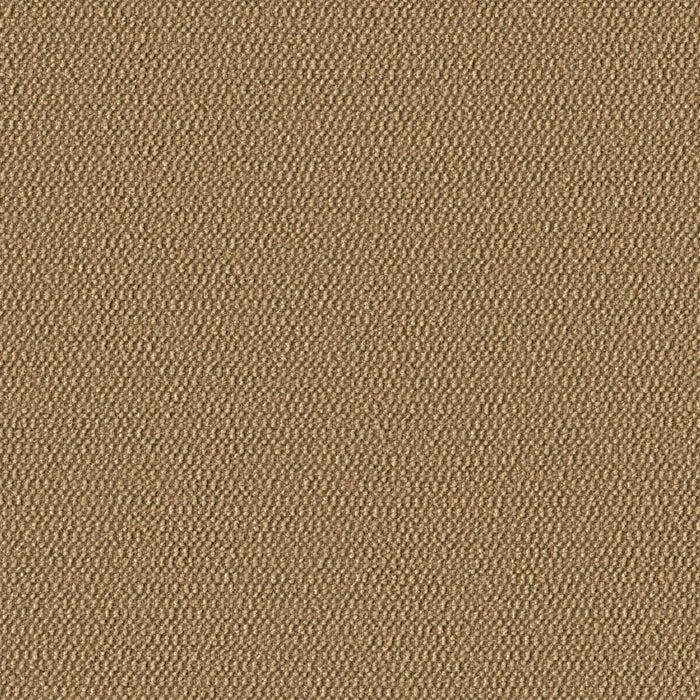Demi Boucle - Sanddollar - 2005 - 14