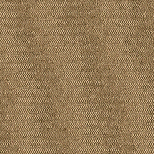 Demi Boucle - Sanddollar - 2005 - 14