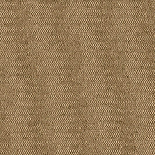 Demi Boucle - Sanddollar - 2005 - 14