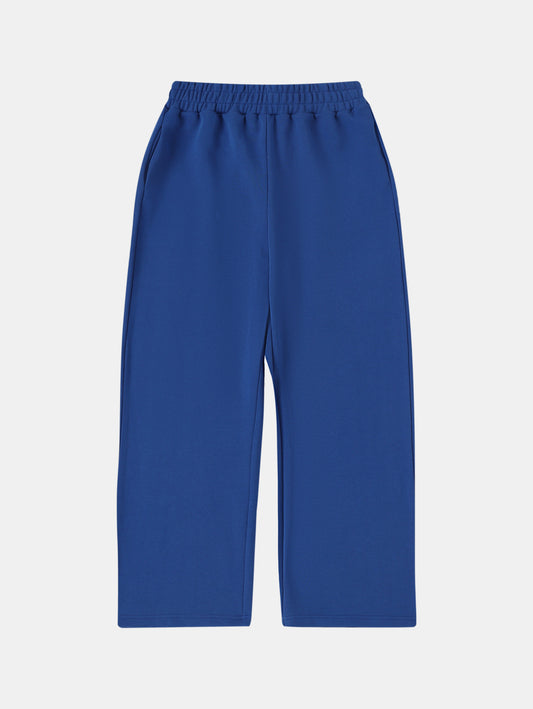 450 GSM BAGGY 'CHEMICAL BLUE' PANTS