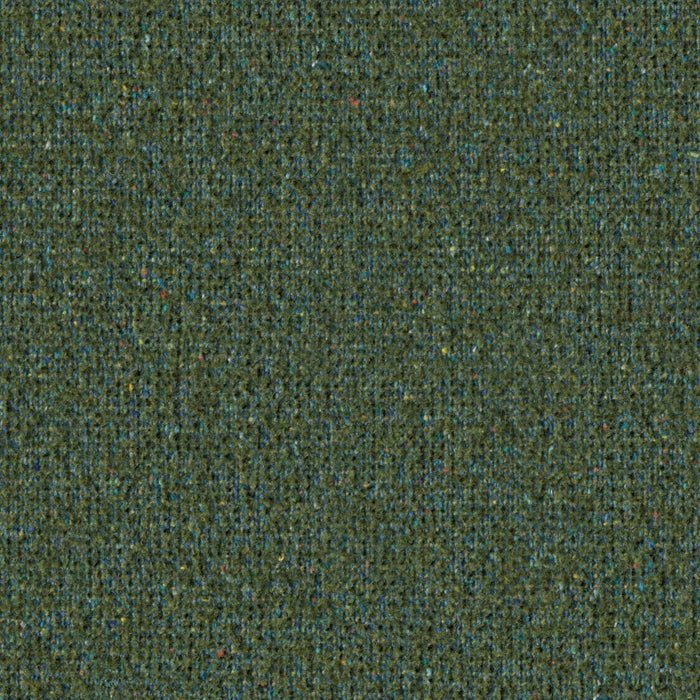 Earthbound - Groundcover - 4146 - 15