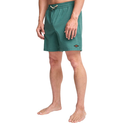 Billabong Mens Every Other Day Boardshorts