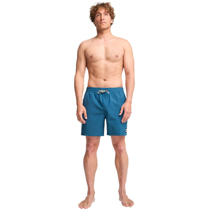 Billabong Mens Every Other Day Boardshorts