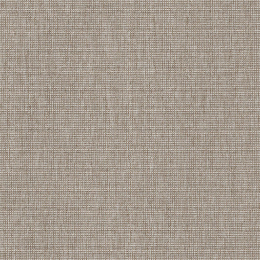 Haze - Beach - 2013 - 02 - Half Yard