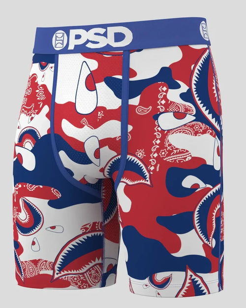 PSD Underwear men's boxers in WF Camo Paisley print, multi-color camouflage and paisley pattern, comfortable accessories for everyday wear