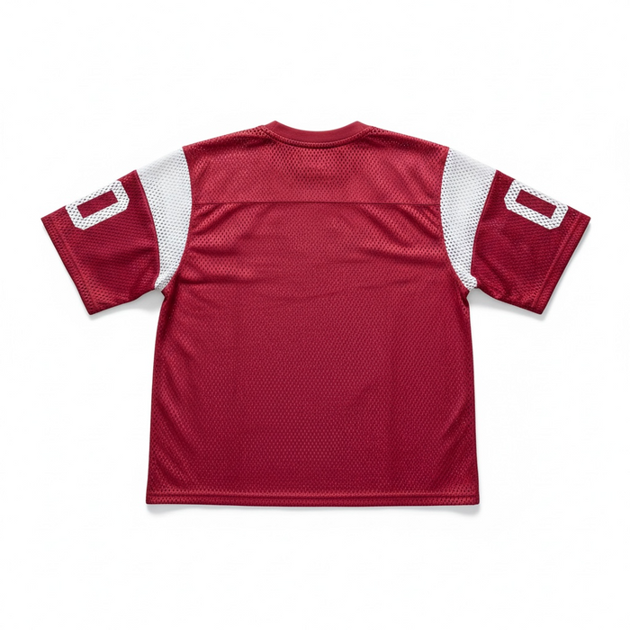 Red Rebel Minds Athletic Dept mesh cropped T-shirt with athletic fit and breathable fabric, front view.