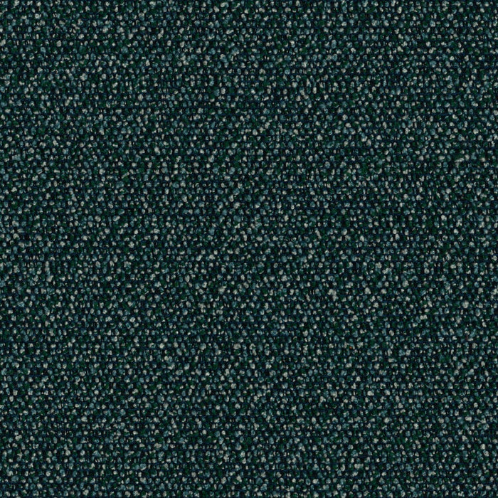Roam - Rainforest - 4155 - 08