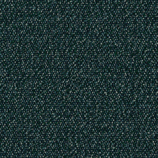 Roam - Rainforest - 4155 - 08