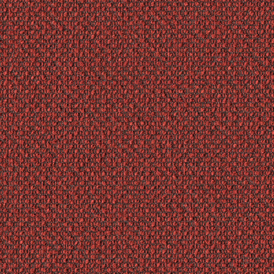 Surface Level - Cherrybark - 2011 - 07