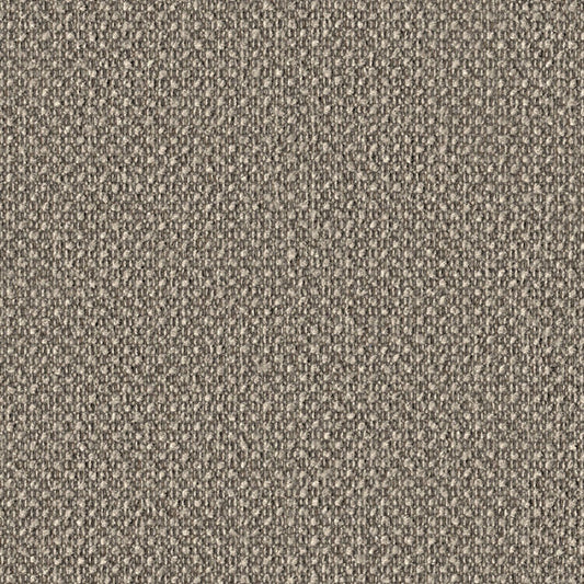 Surface Level - Seedpod - 2011 - 06 - Half Yard