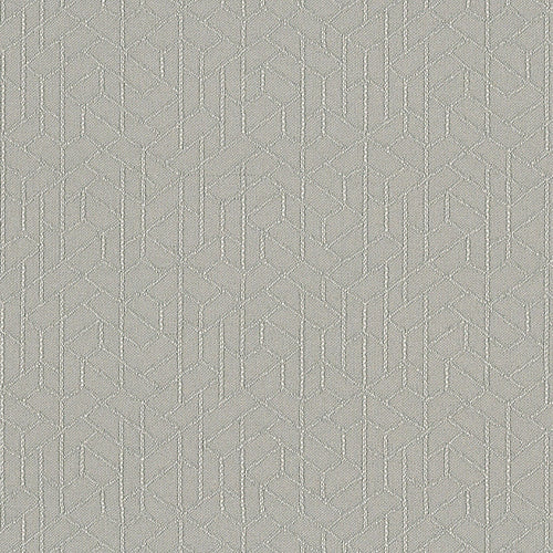 Topology - Shadow - 1011 - 05