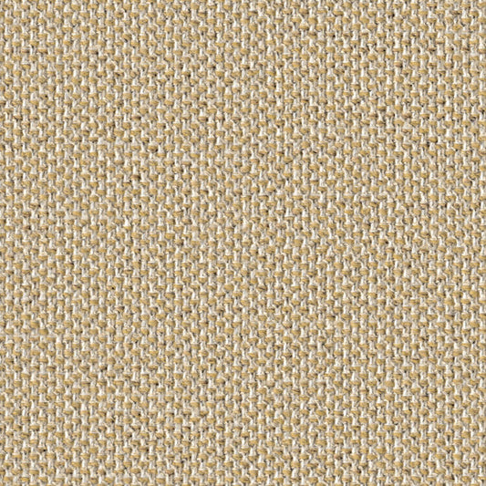Trichroma - Amble - 4127 - 07